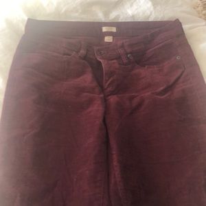 J Crew corduroy pants